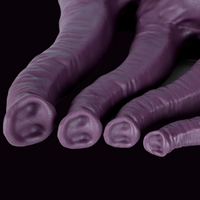 monsterdildostore.com