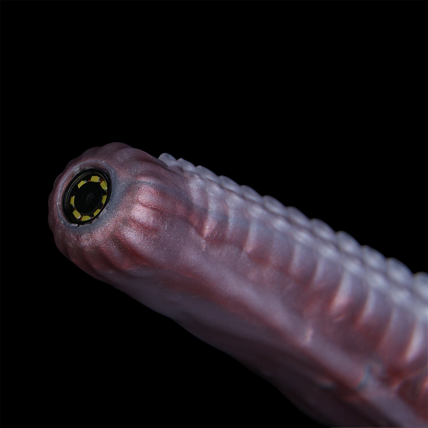 monsterdildostore.com
